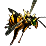 wasp_icon